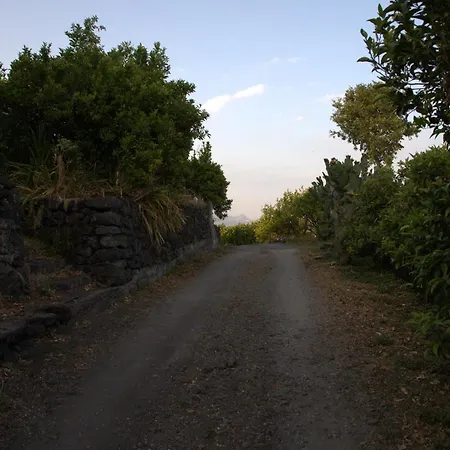 Agriturismo Le Case Di Civi-3